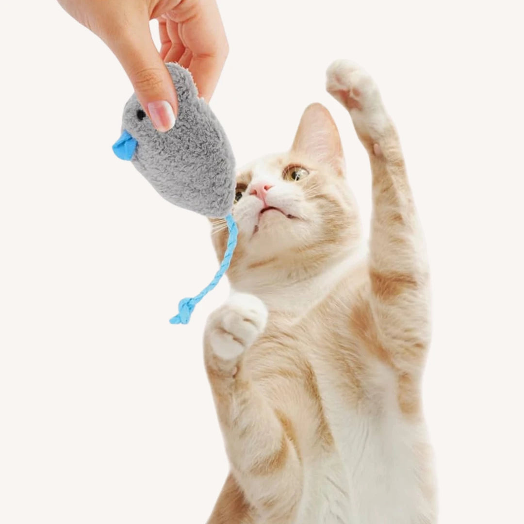 Ratinho de brincar com catnip