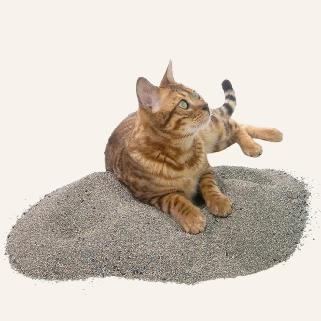 Areia com carvão ativado para gato - 8.5kg