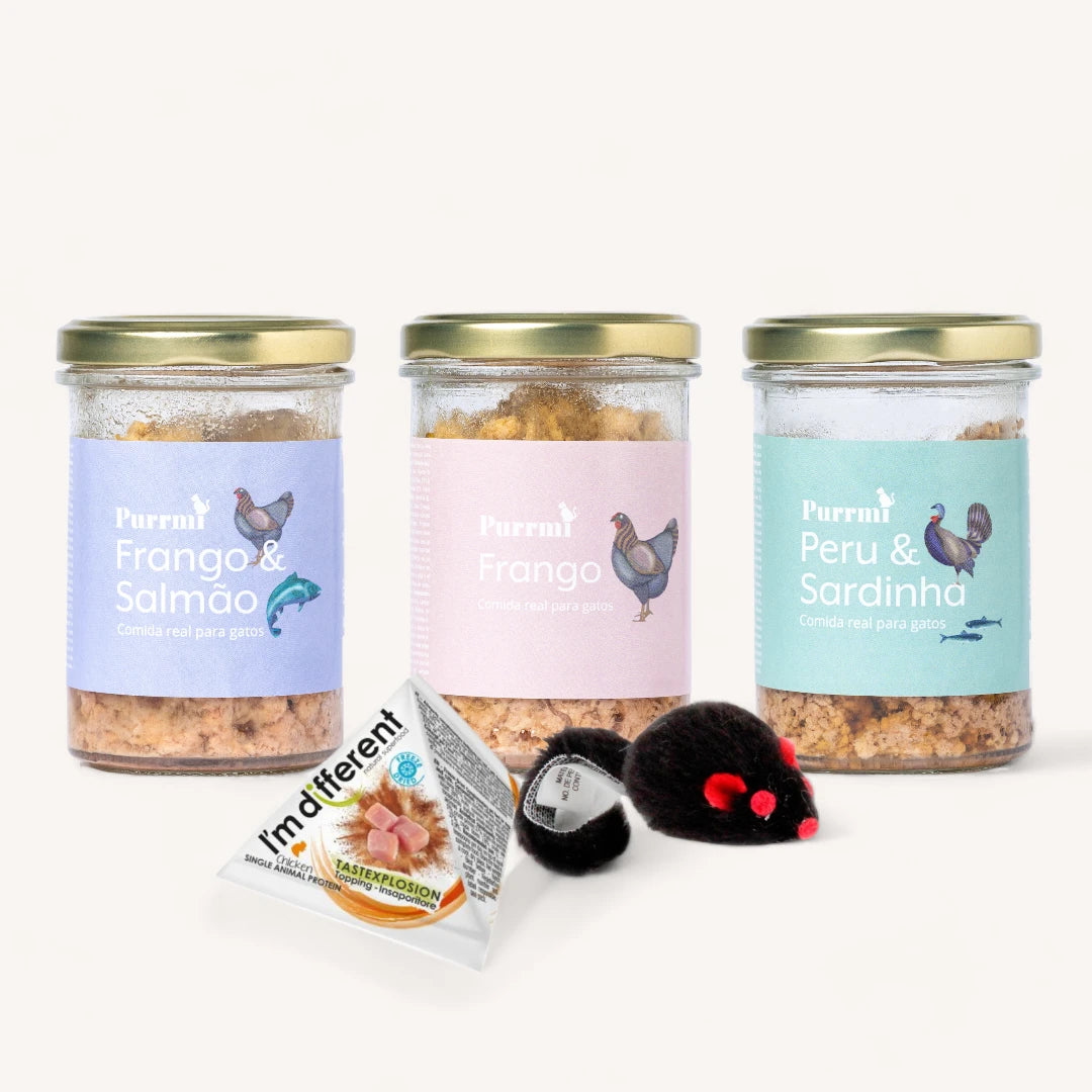 Pacote Experimental - Três Sabores - 6uni. 90g