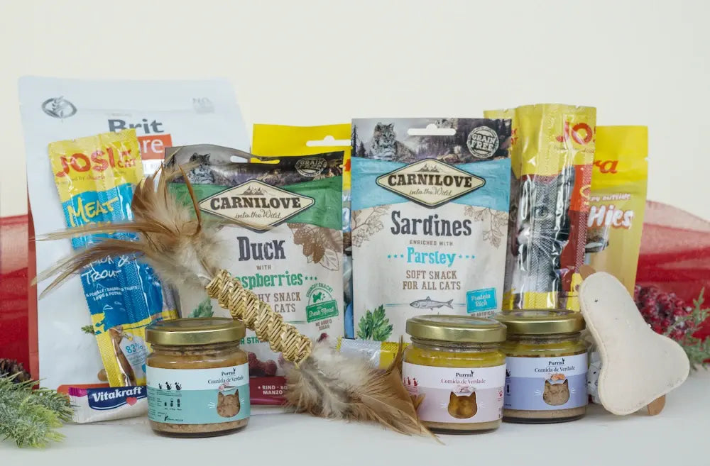 PROMO Surprise Box de Gato